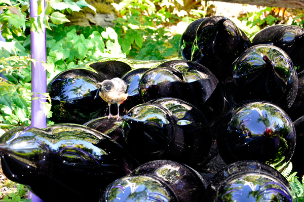 bird on the sculptures